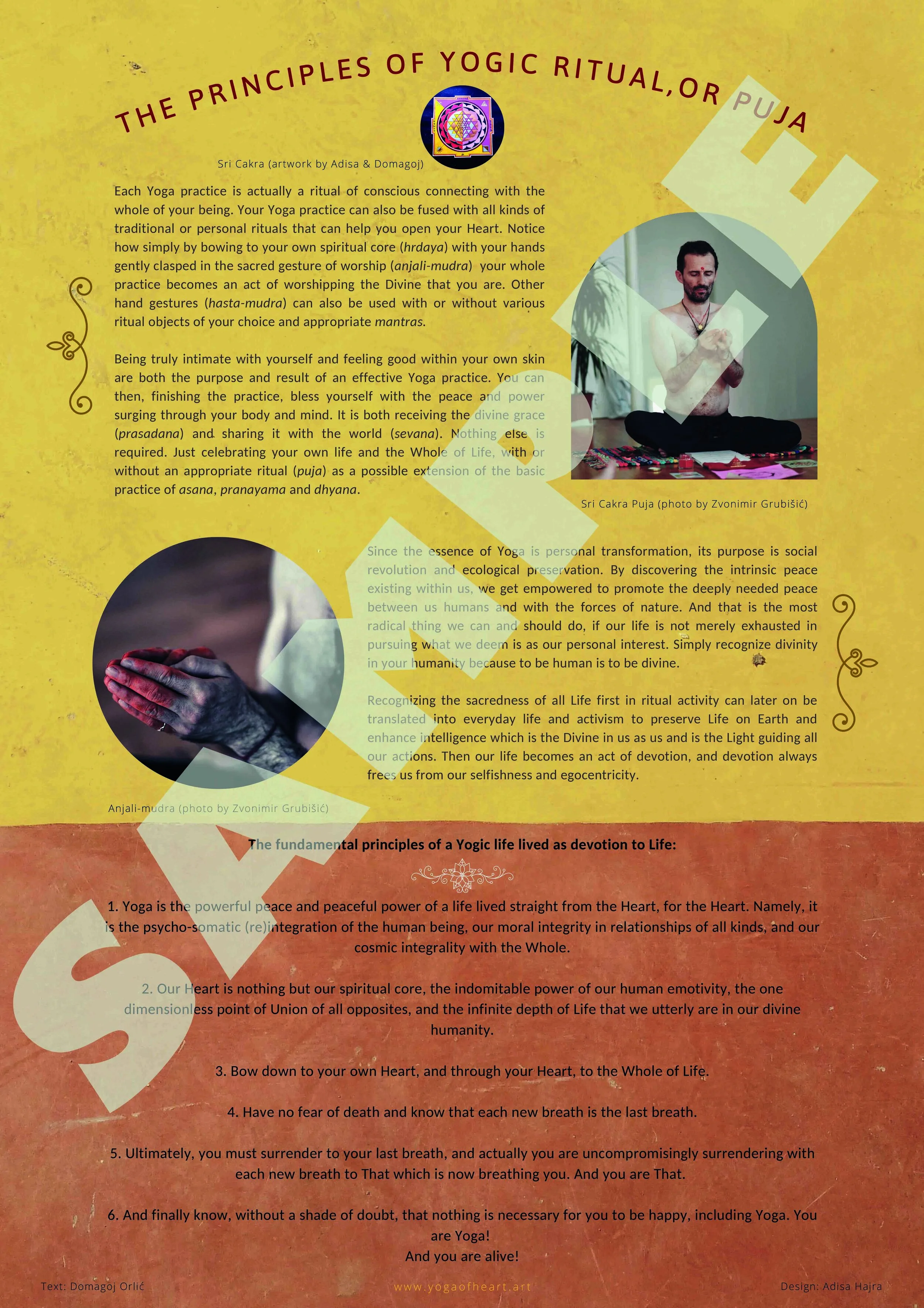 Series of 6 Yoga Education Posters by Domagoj Orlić & Adisa Hajra